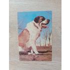 Календарик 1993