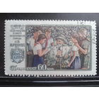 1956 Мичурин с клеем