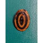 Кокарда(  глазок) с родной эмалью