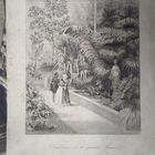 Гравюра 19 век Германия. 22х15см.