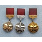 ВЛКСМ. Молодой Гвардеец Пятилетки.