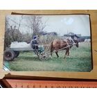 Фото сельская жизнь