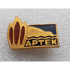 Значок. Артек. Костерок #0027