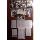 Карманные календарики.1980 год.Котики