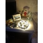 Гирлянда 30 метров