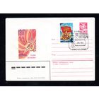 Художественный маркированный конверт СССР N 16250 (27.04.1983) 1917  Слава Октябрю!