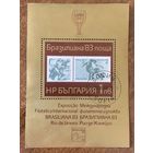 Болгария 1983. Филателистическая выставка в Бразилии. Блок
