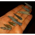 В коллекцию.