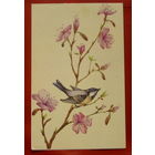 8 Марта! Чистая. Двойная. 1988 года. Тренделева. 564.