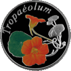 10 рублей 2013 Республика Беларусь серия Красота цветов Настурция в капсуле  футляр буклет