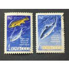 1962 СССР. Рыбы. Полная серия