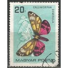 Венгрия. Бабочка Медведица. 1966г. Mi#2201.