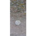 Двуденарий 1570