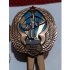 Значок " 181 Вертолетная База т.м. "