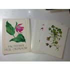 Набор открыток . Растения под охраной .