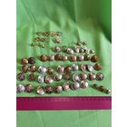 ЛОТ ПУГОВИЦ CCCР СТАРТ С 1 РУБЛЯ БЕЗ МПЦ АУКЦИОН ВСЕГО 5 ДНЕЙ