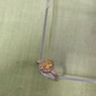 Кольцо. 925пр.