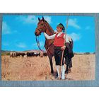 Этнография. Португалия, Рибатежу. Пастух быков