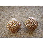 Серьги - клипсы . Винтажная маркированная бижутерия