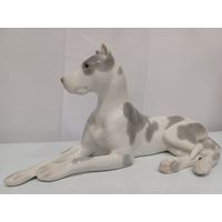 Все лоты с 1р.Большая собака ЛФЗ