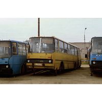Эмблема автобуса Ikarus 280 - редкая