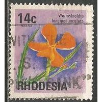 Родезия. Растение. Траклицерис. 1974г. Mi#149.