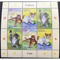 Таджикистан 2018 Фауна Кошки