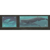 Португалия(Азоры)-1998(Мих.468-469) , **  , Морская Фауна, Киты (полная серия)