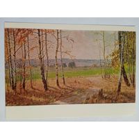 1956. Рычагов. Опушка леса