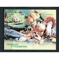 Куба - 2005 - Грибы и улитки - [Mi. bl. 208] - 1 блок. MNH.  (Лот 79HM)-T2P12