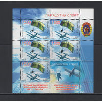 Спорт Беларусь 2009 Малый лист "Парашютный спорт"