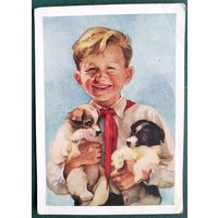 Стрелкова Э. Пионер со щенками. 1954 г. Подписана.