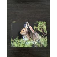 Календарик,реклама,пресса