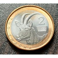 Замбия 2 квачи, 2024    ( 1-10-3 )