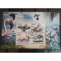 ЛИСТ ФАУНА ПТИЦЫ  СТО