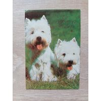 Календарик 1993