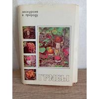 Грибы. Экскурсия в природу. 25 открыток. 1980г.