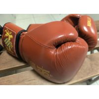 Боксерские перчатки Hatton Skiil 14oz