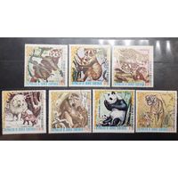 Экваториальная Гвинея. Фауна (586)