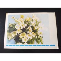 И. Дергилев