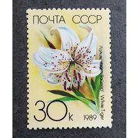 Марка СССР 1989 год Лилии