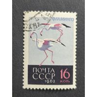 1962 СССР. Птицы