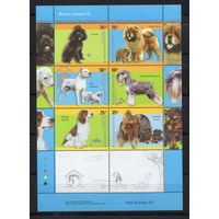 Аргентина 2006. Собаки малый лист (3056)