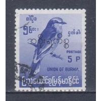 [532] Бирма 1966. Фауна.Птицы. НАДПЕЧАТКА. Гашеная марка.