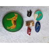 Животные (цена за один знак)