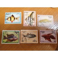 1977 Куба фауна рыбы (4-7)