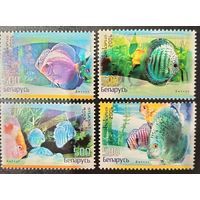 Беларусь 2006. Рыбы. Полная серия