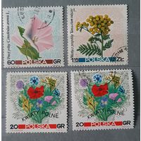 Польша цветы 4шт