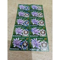 Румыния 2013 часы и цветы (Сцепка)