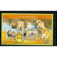 ЛИСТЫ   МАЛИ 2022   СТО